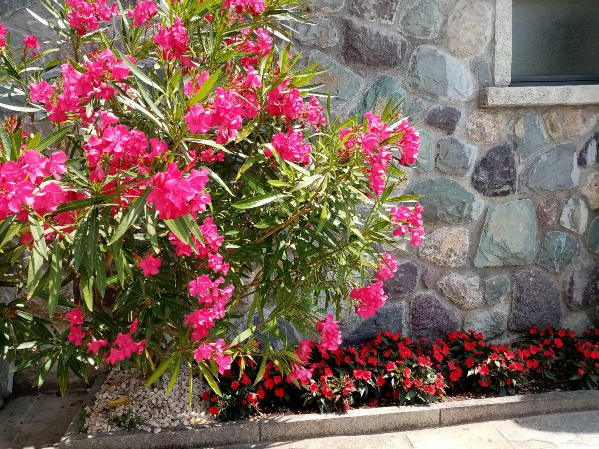 Iseo Apartment